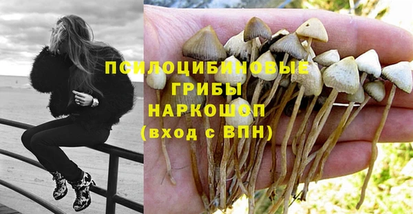 бошки Белокуриха