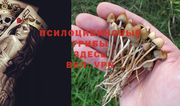 гашик Вязники