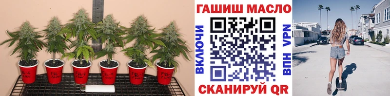 ТГК вейп  Наволоки 