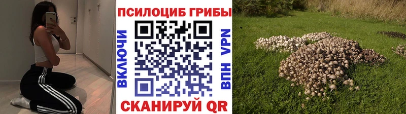Псилоцибиновые грибы MAGIC MUSHROOMS  Наволоки 